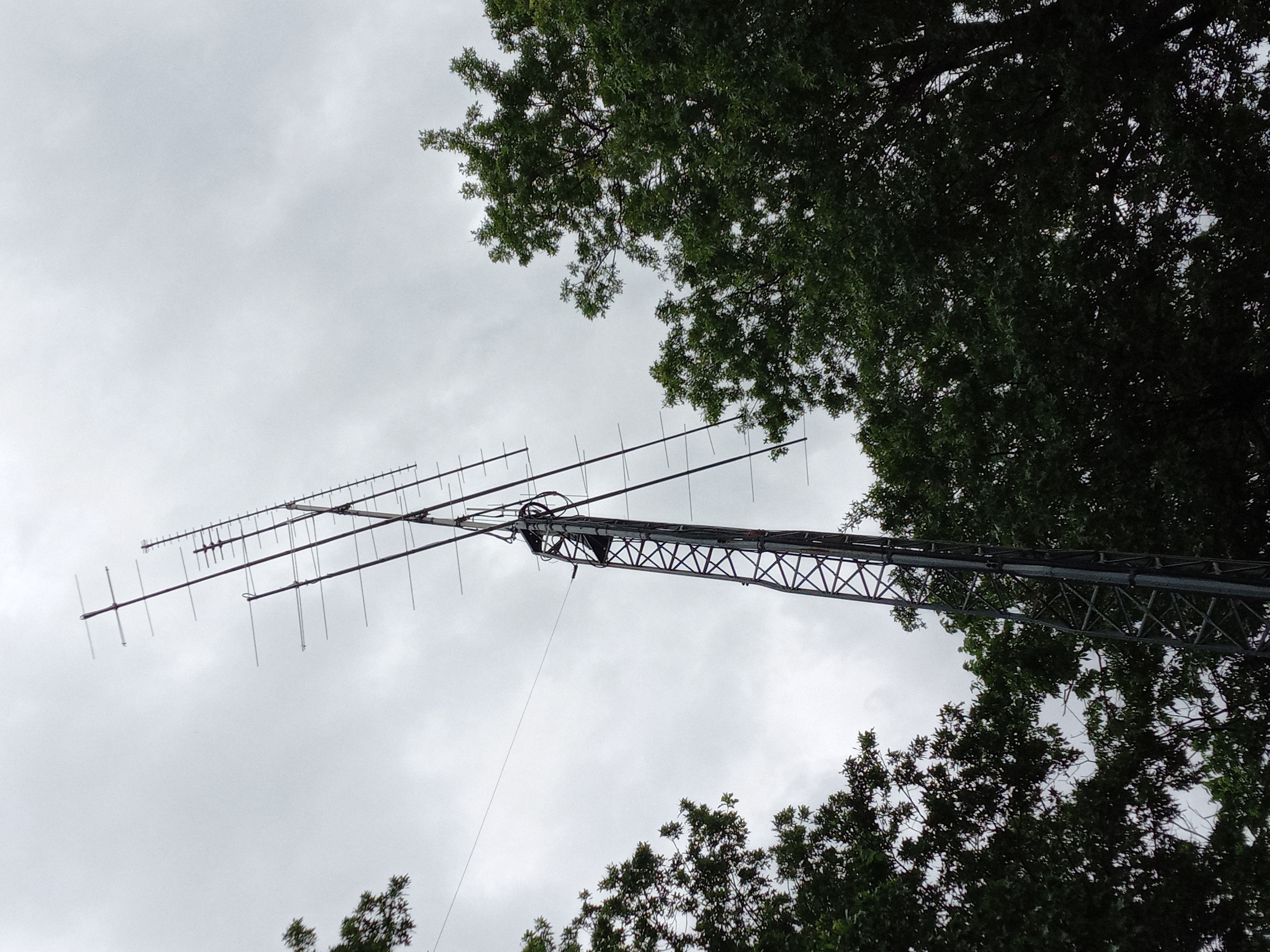 PAARC activity - May 2024